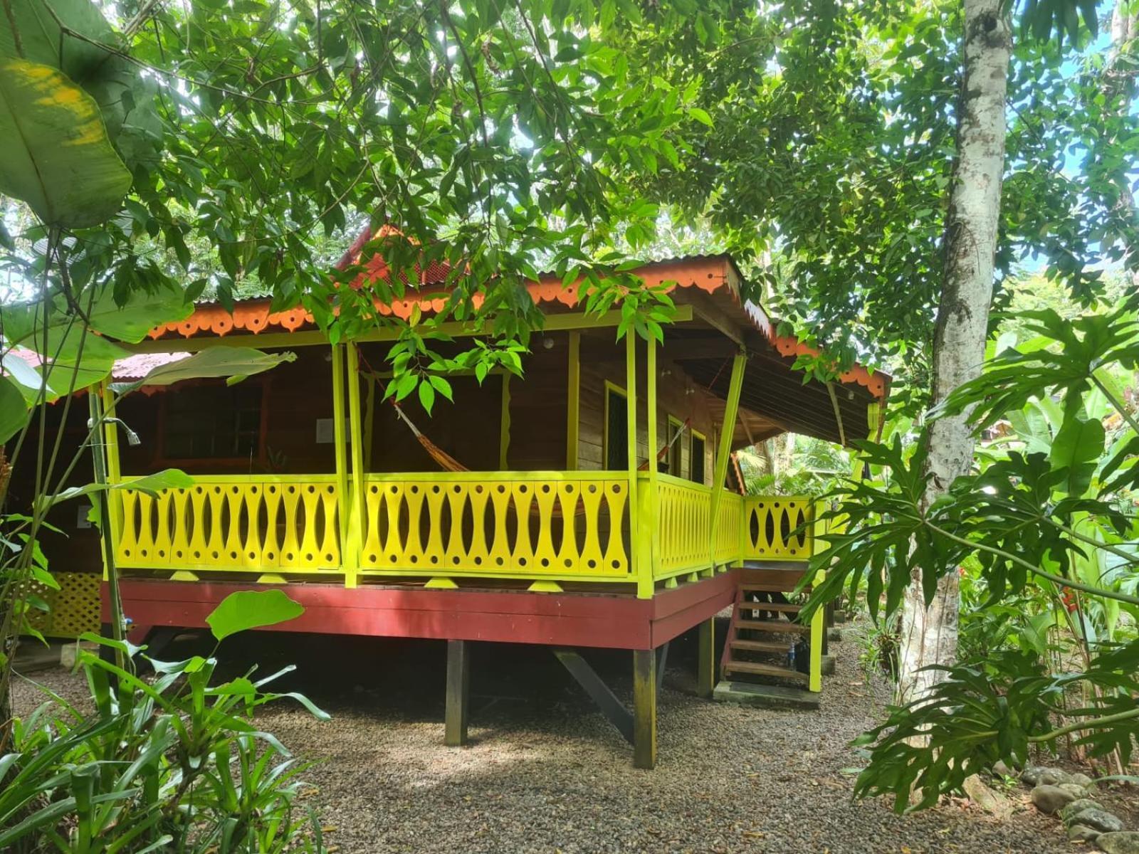 El Jardin De Playa Negra Βίλα Puerto Viejo de Talamanca Εξωτερικό φωτογραφία