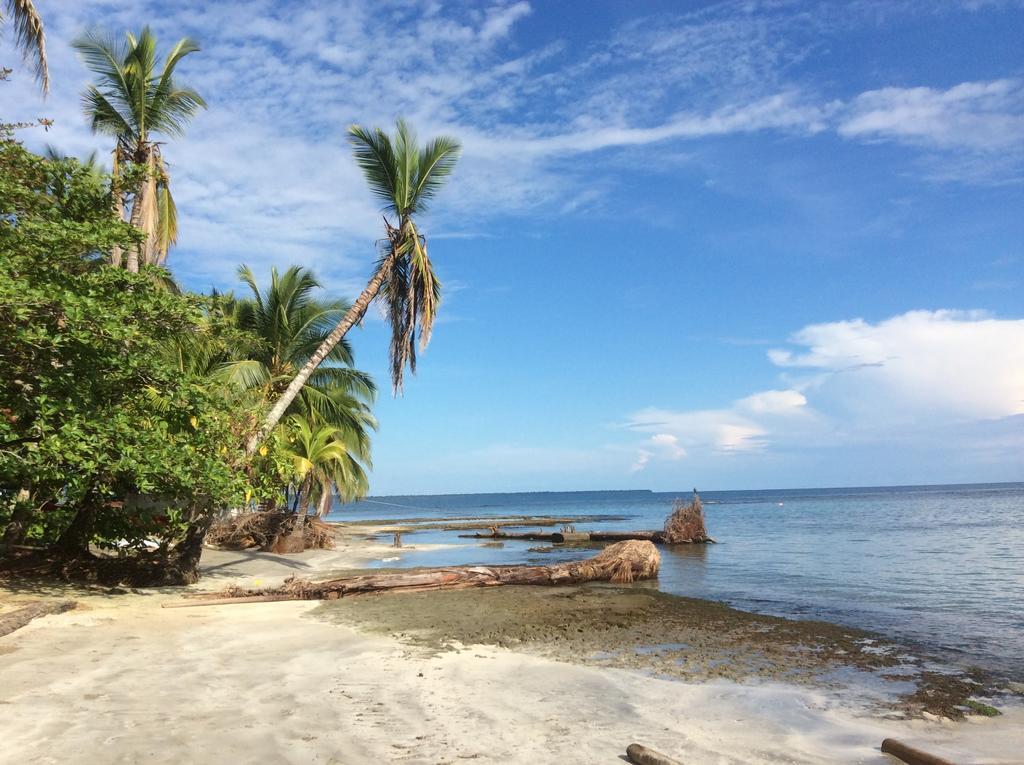 El Jardin De Playa Negra Βίλα Puerto Viejo de Talamanca Εξωτερικό φωτογραφία