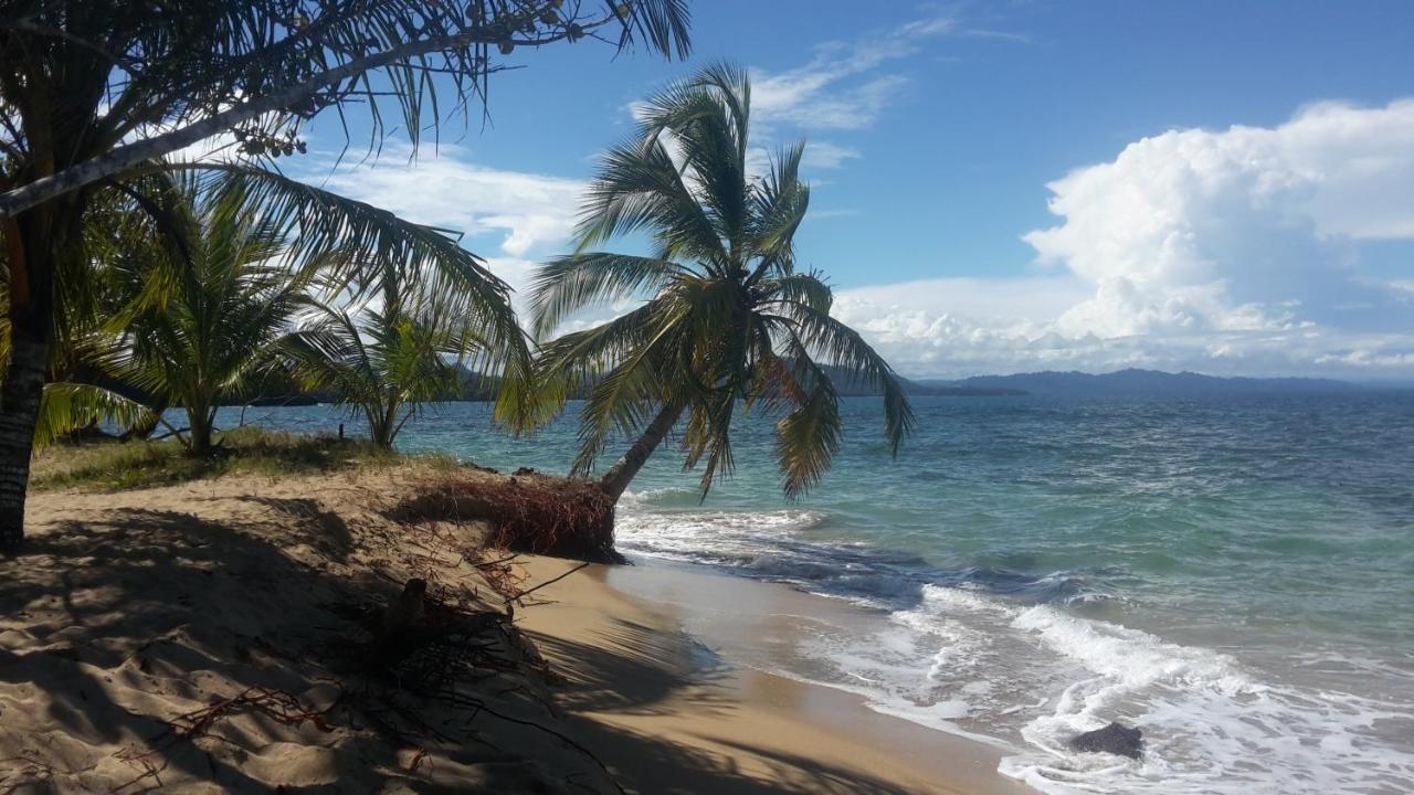 El Jardin De Playa Negra Βίλα Puerto Viejo de Talamanca Εξωτερικό φωτογραφία